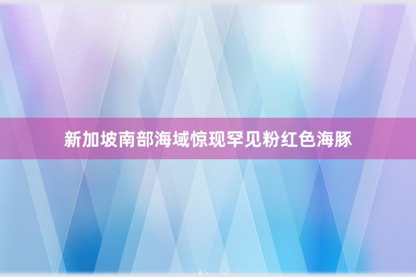 新加坡南部海域惊现罕见粉红色海豚